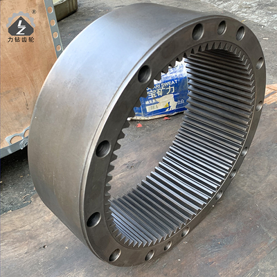 Drehbagger Construction Machinery Parts schwingen-Ring Gears R245