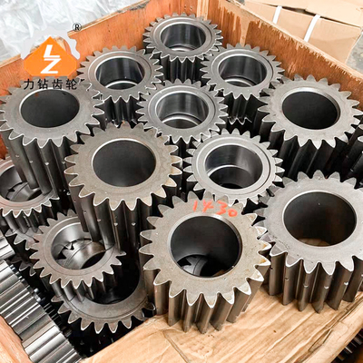 Gehender zentraler Gang Bagger-Planetary Gears HD1430 HD1250 Samsung